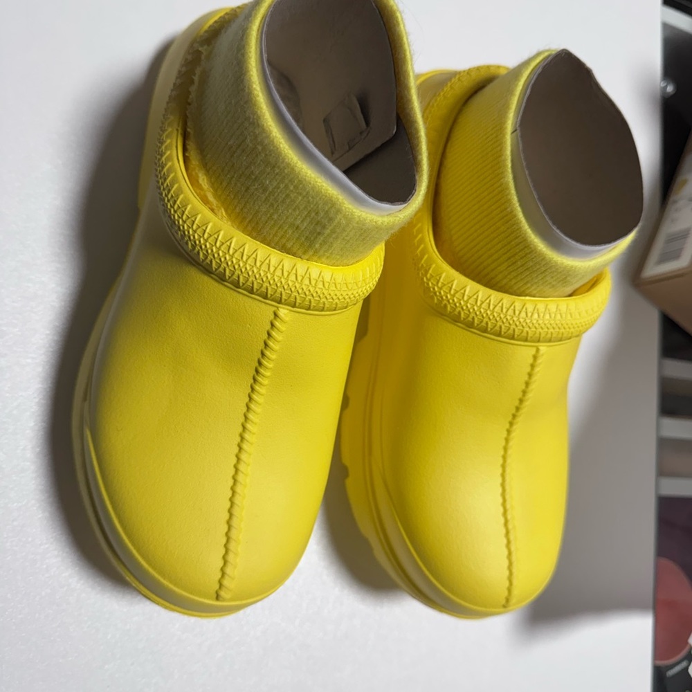 Women’s Canary UGG Tasman